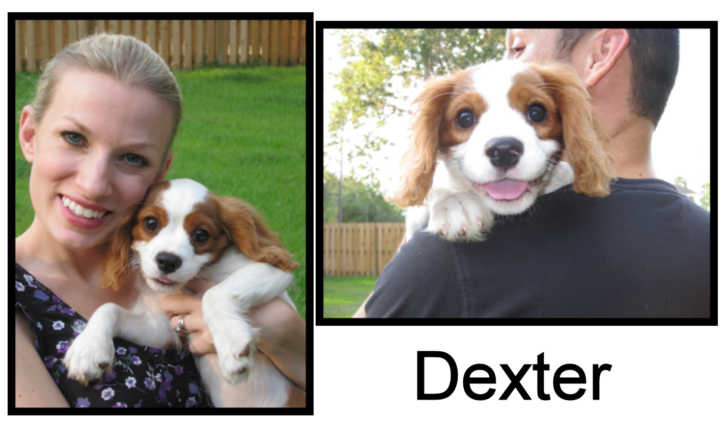 Aubrey.Dexter.jpg Aubrey.Dexter.jpg