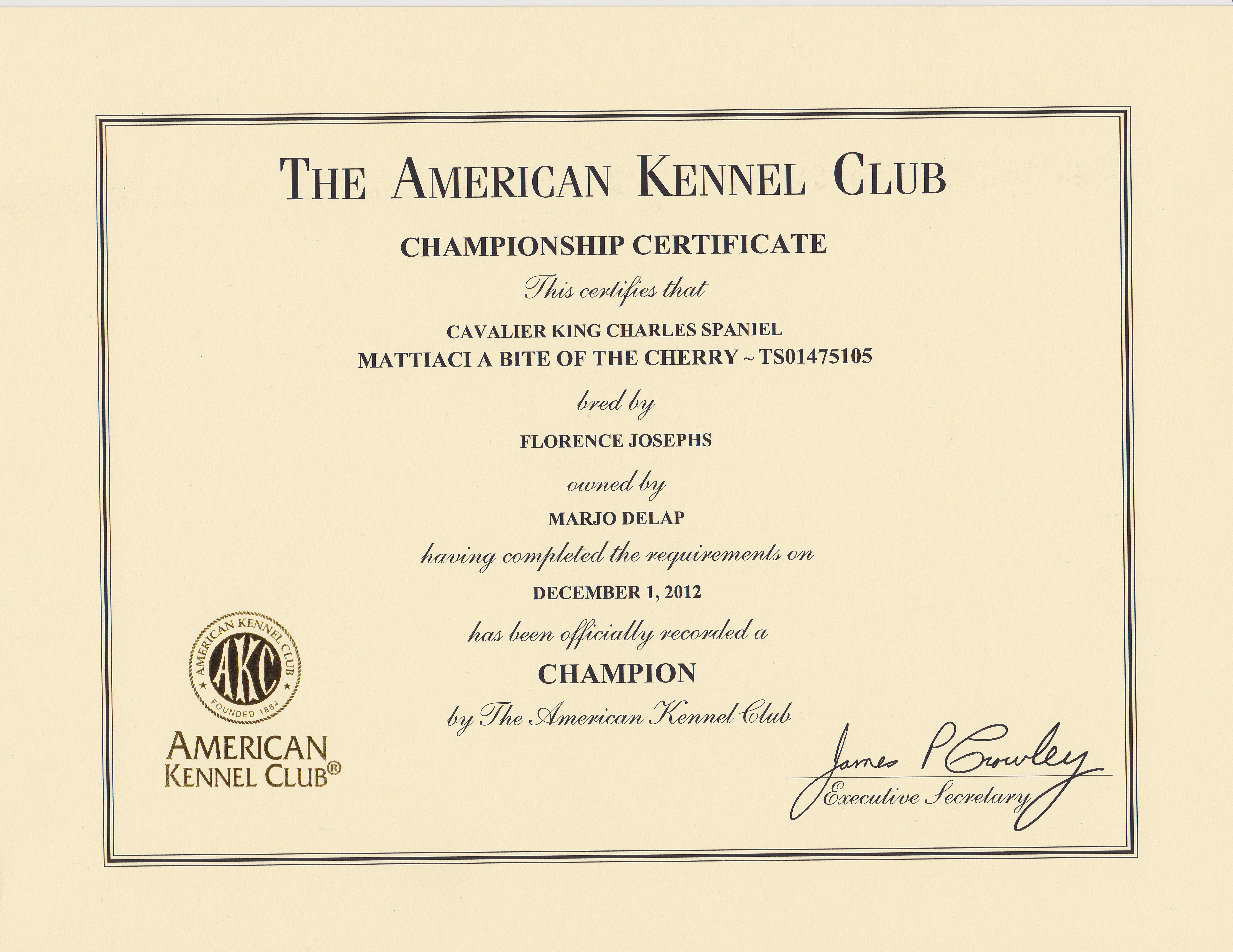 Bings.akc.champion.cert.jpg