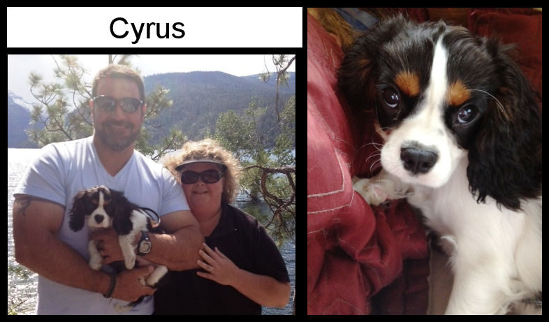 cyrus1.jpg cyrus1.jpg